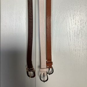 Brown, chestnut and white belts